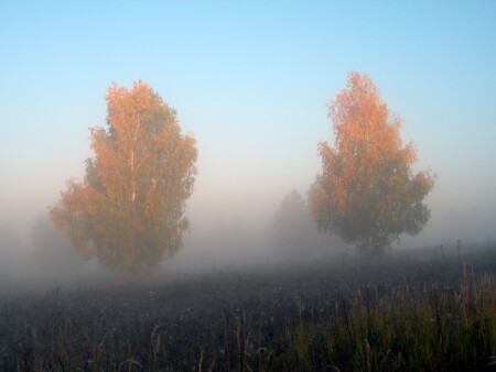 02.10.2005, 07:43 #1019