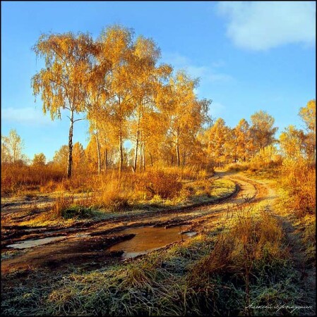 Осенний этюд