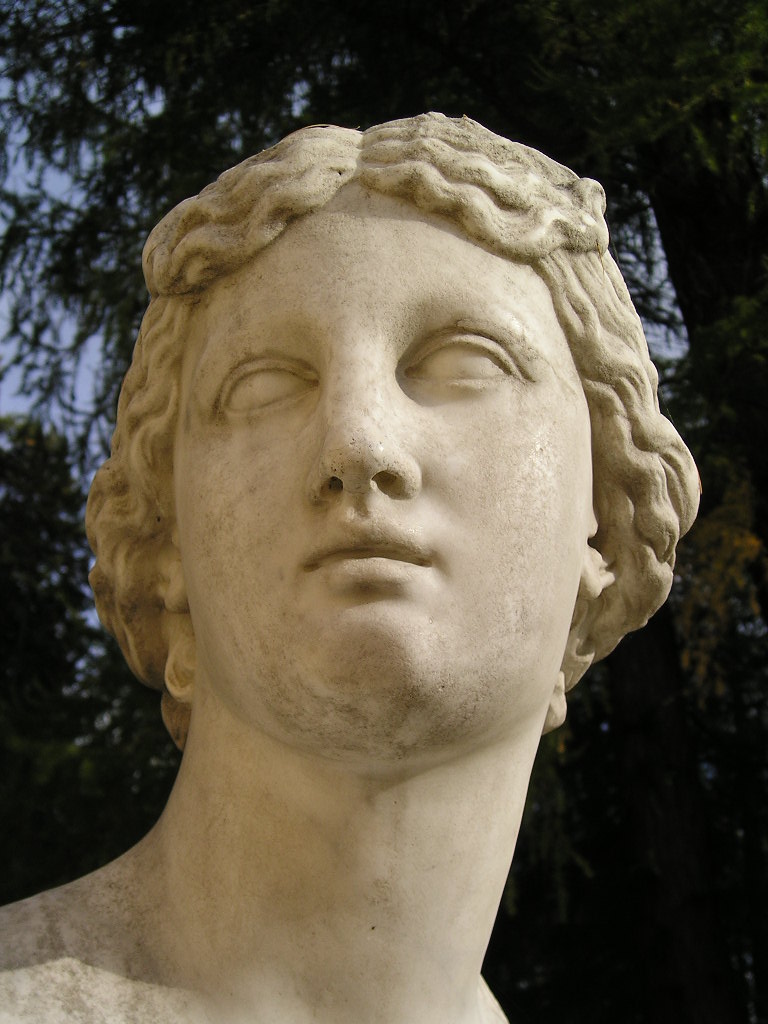 Голова