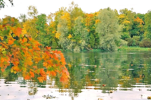 Осень