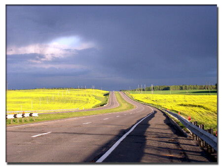 Перед грозой.