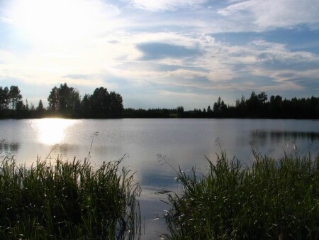 Лесное озеро