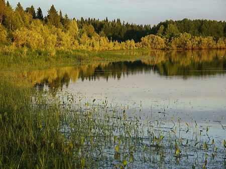 Тишина.