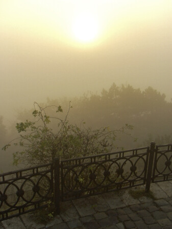 Солнечно-туманный взгляд