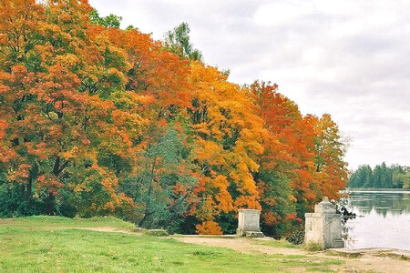 Яркие краски