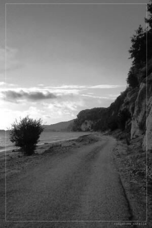 ...дорога...