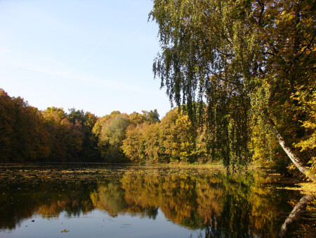 Неуровновешенная композиция ;)