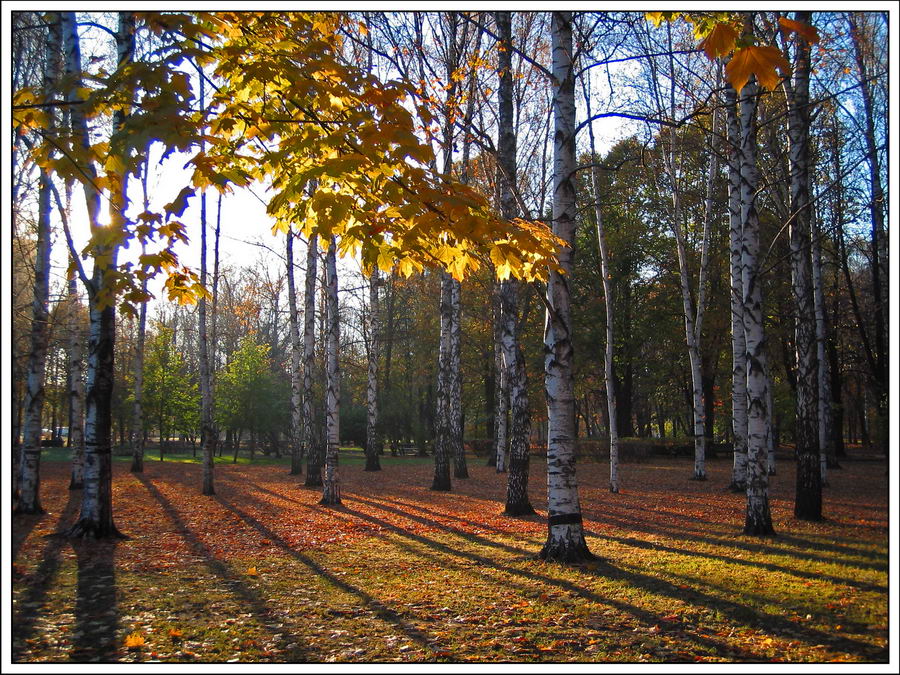 Осеннее утро