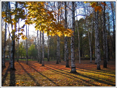 Осеннее утро