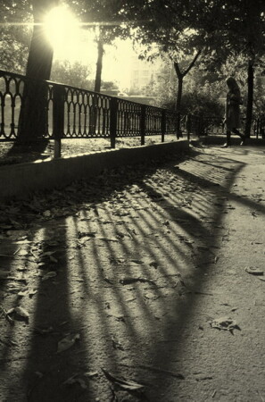 осенняя
