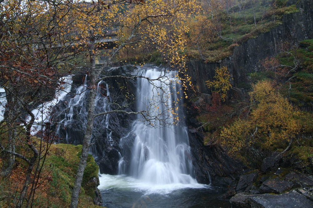 NORLAND 2005 -2