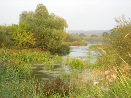 Скоро осень