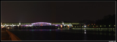 Пушкинский мост
