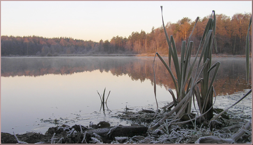 заморозки