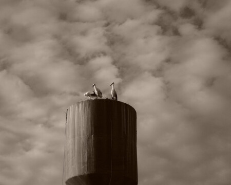 Дежурный айст слушает