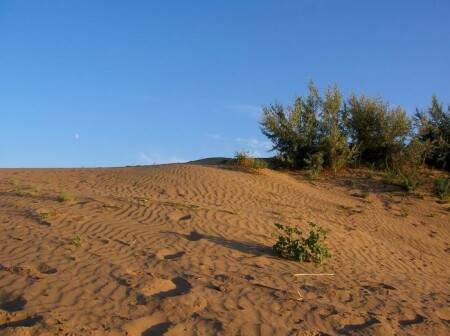 Казахская прерия