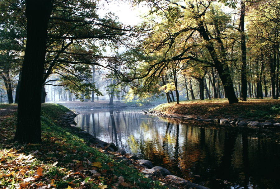осенний парк