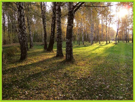 Ещё тёплое солнышко осени