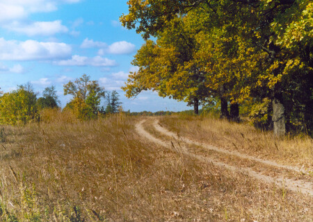 Дорога осени