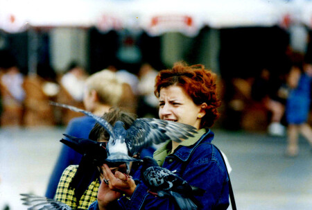 Обед, птицы и повар.