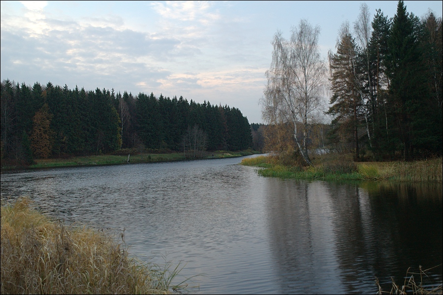 Спокойная