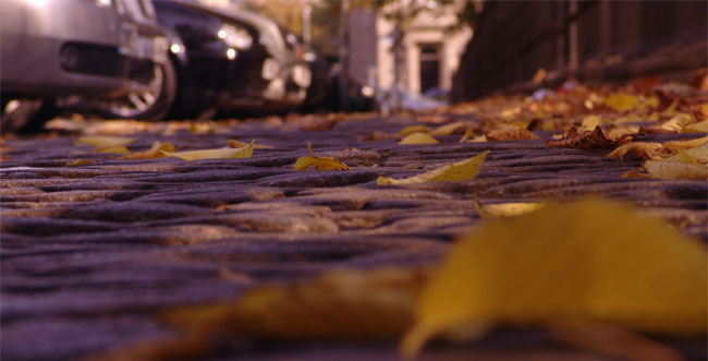 pavement