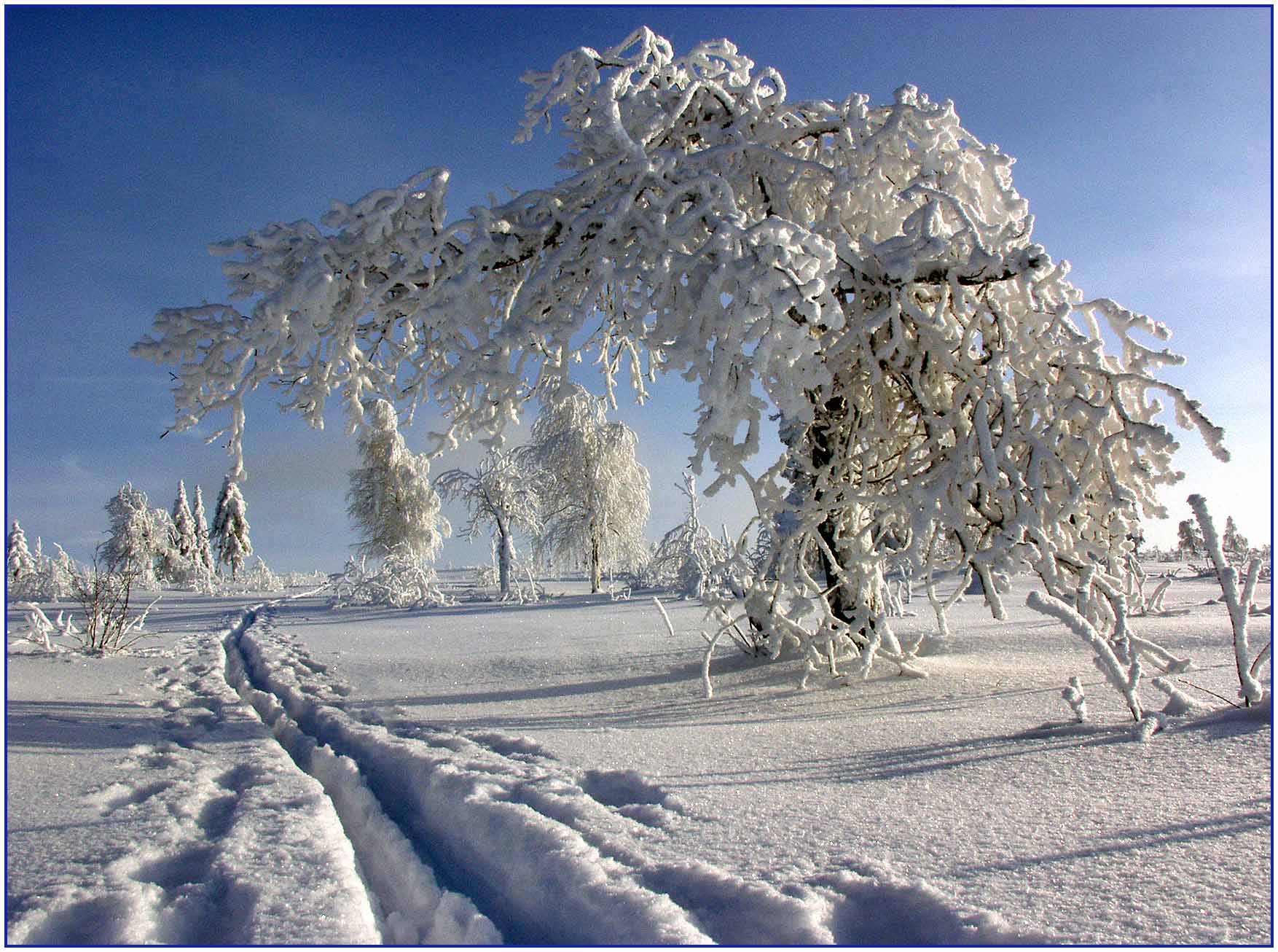 Февраль