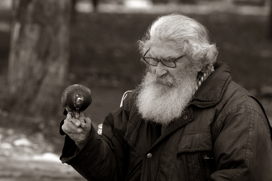 A beard and a bird