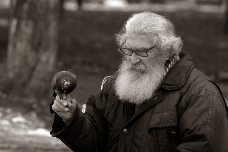A beard and a bird