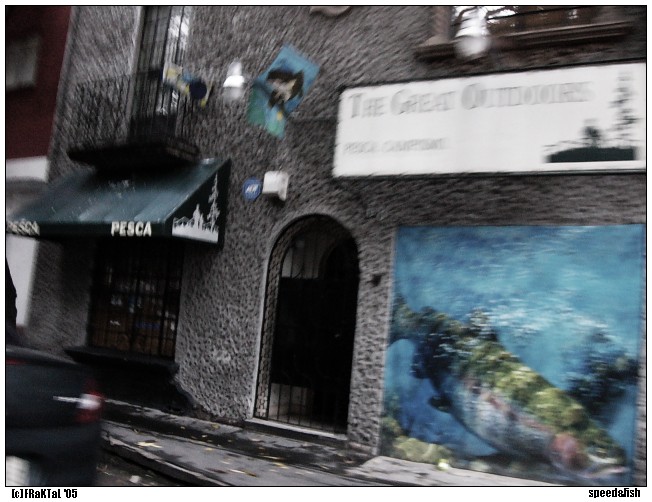 speed&amp;fish