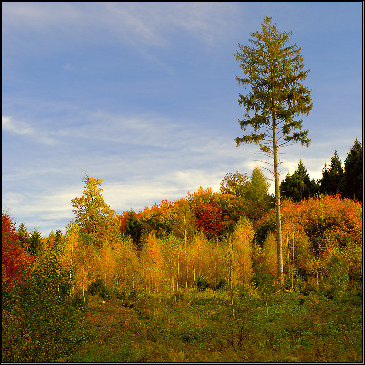 Der Goldene Oktober