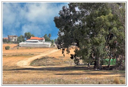 На прогулке