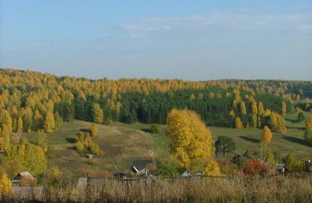 Желто-зеленая