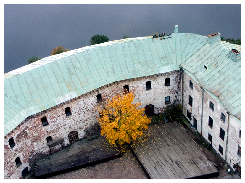 Последние мгновения осени