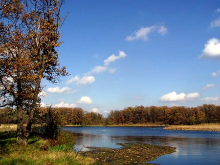 Вот и лето прошло...