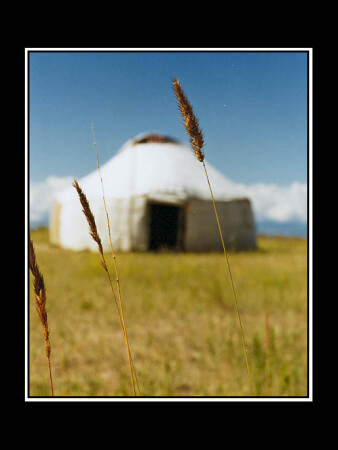 Три Былинки