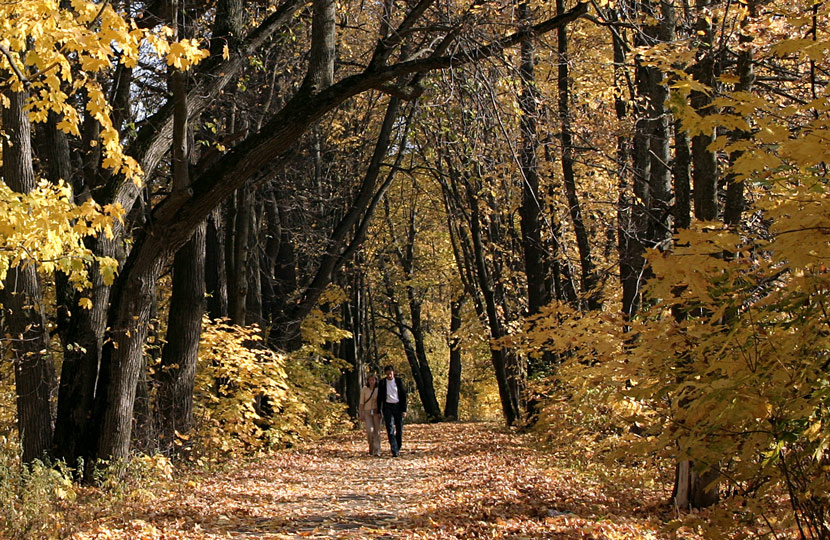 Осенняя мистерия