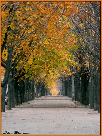 Street