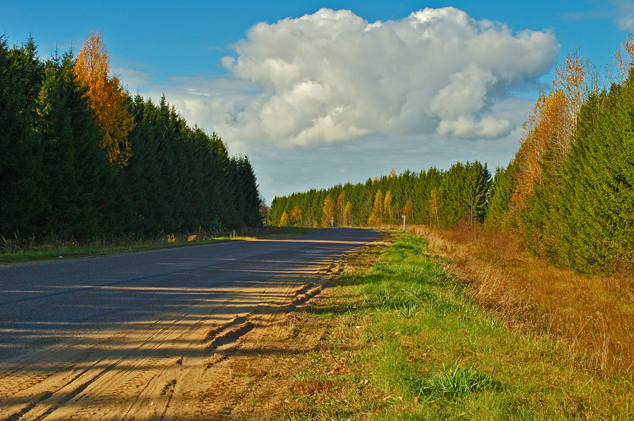 Дорога осени - 2