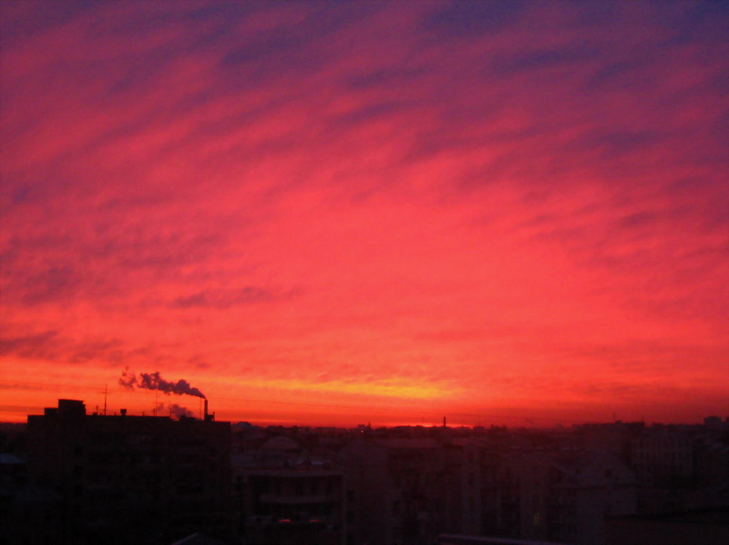 Аврора зимы