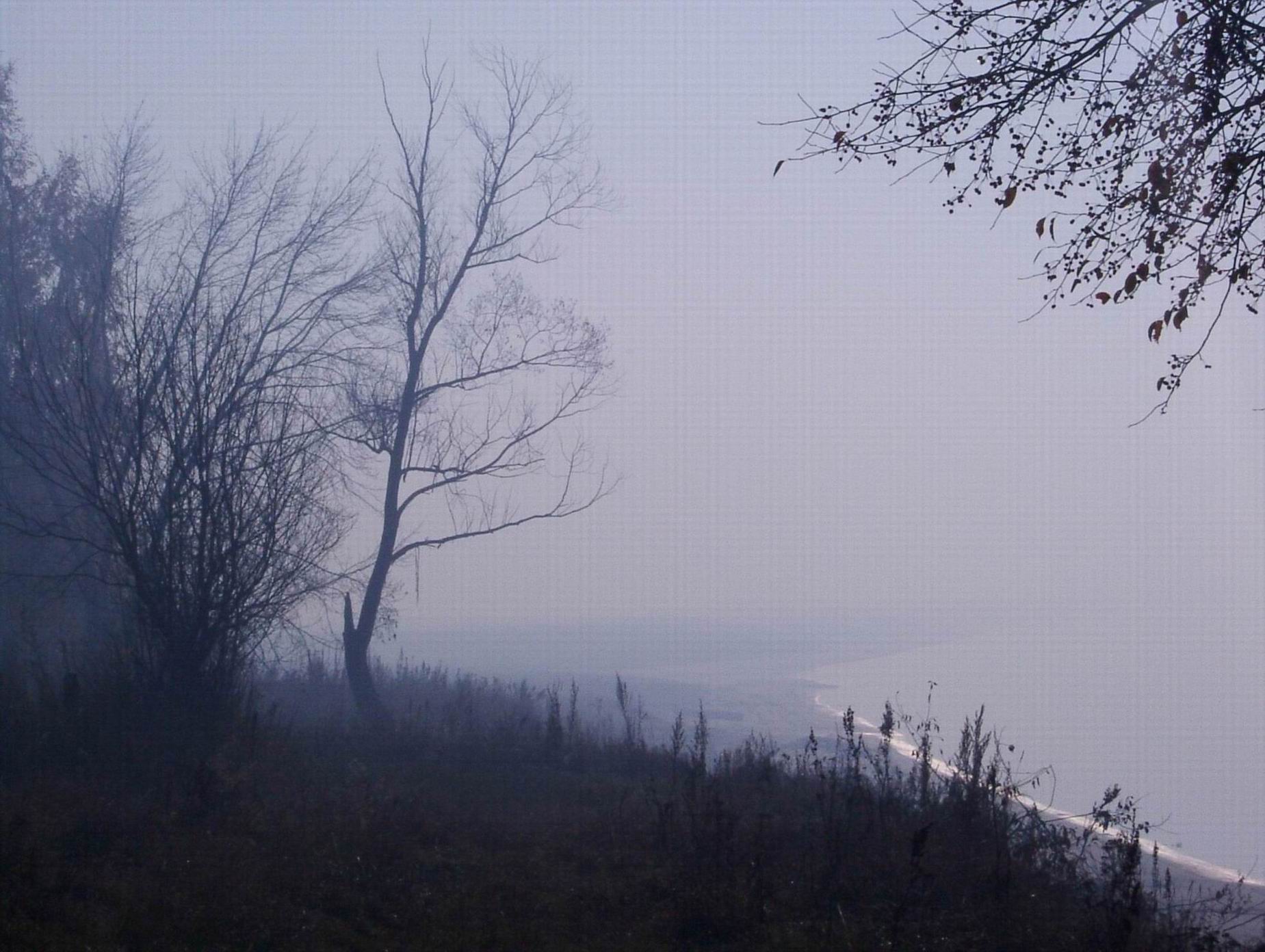 В ТУМАНЕ