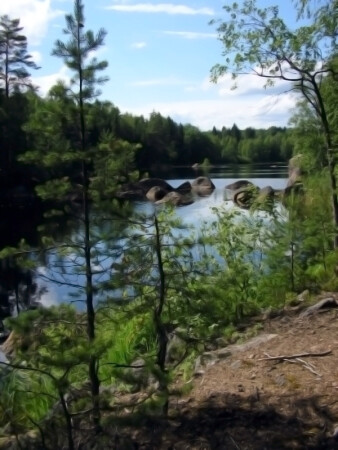 На лесном озере . . .