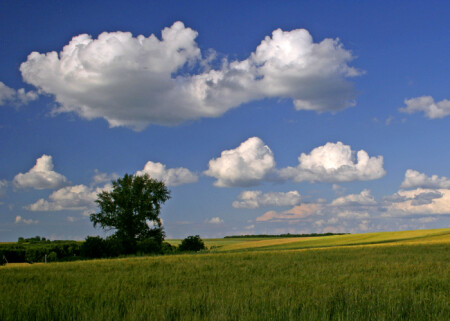 Вспоминая лето
