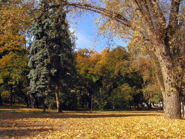 Осень золотая