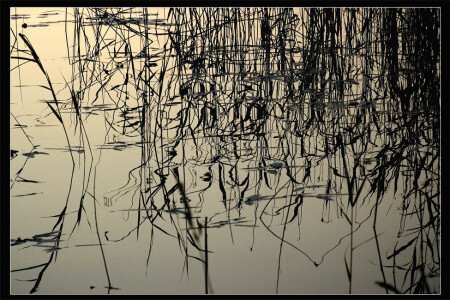 Восточные нотки