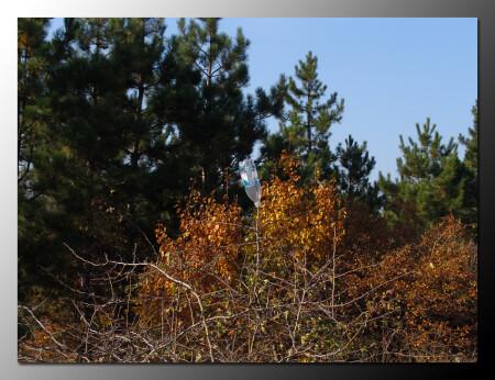 Береги природу нашу - Мать вашу...
