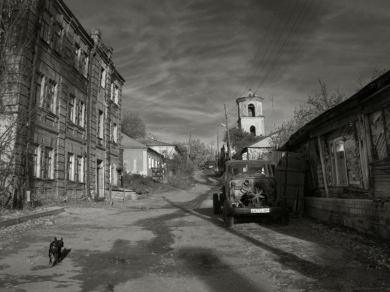 Осеннее фото, или куда уходят Бобики :)