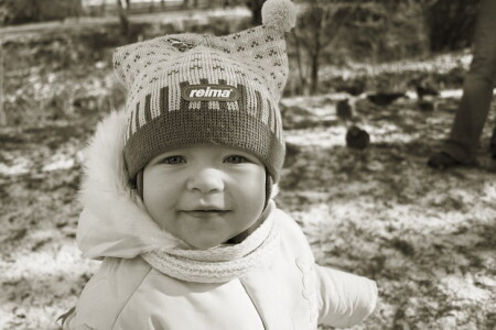 Папа! Там каие-то звери на снегу