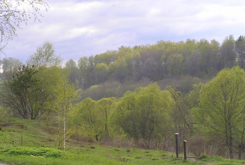 Весна 