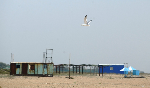 flying_away